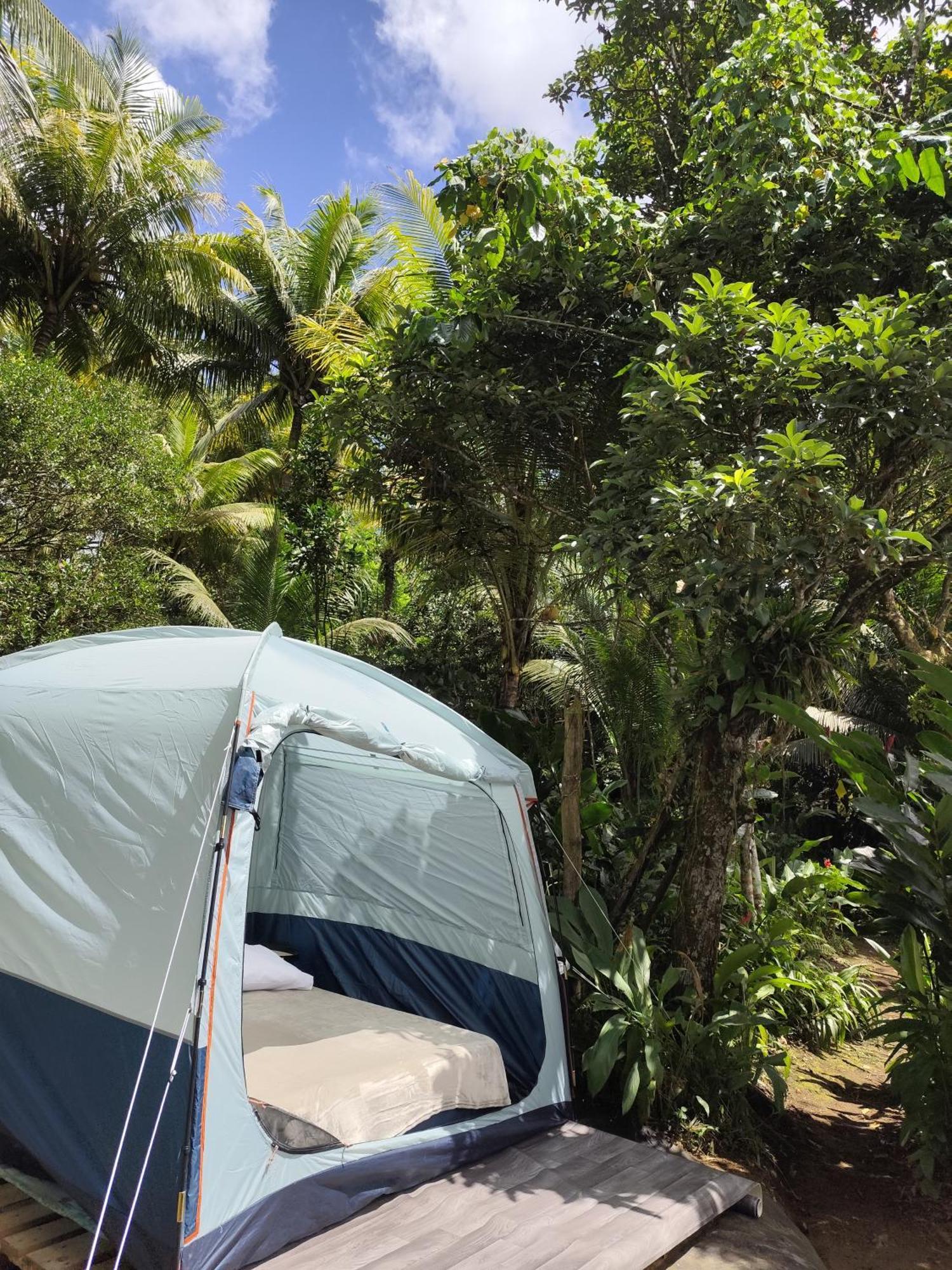 Camping A La Ferme Gros-Morne Екстериор снимка